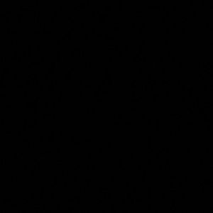 Meet your Posher, Raquel